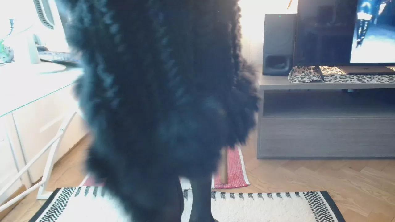 asiaheels from Cam4