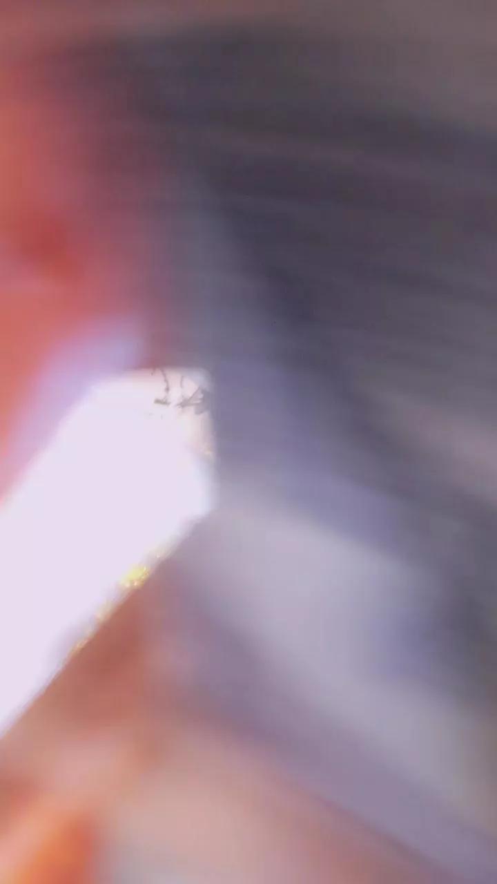 bvbyscorpio666 from Cam4