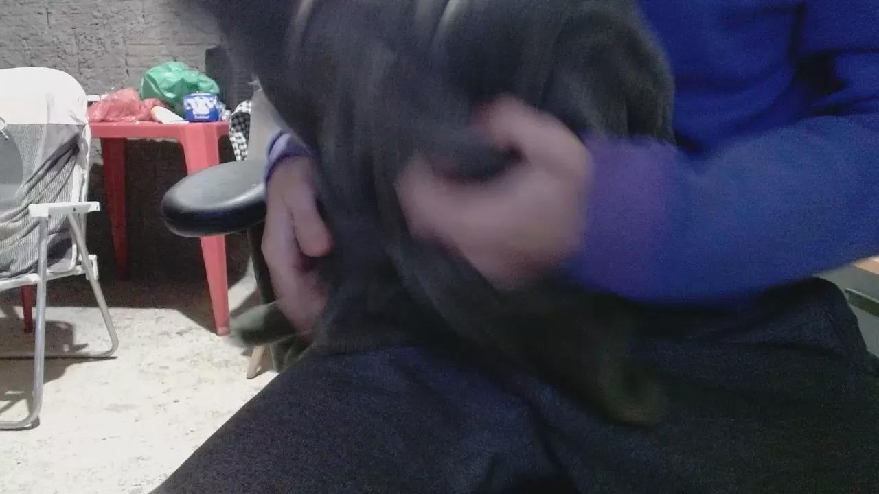 hppnn2 from Cam4