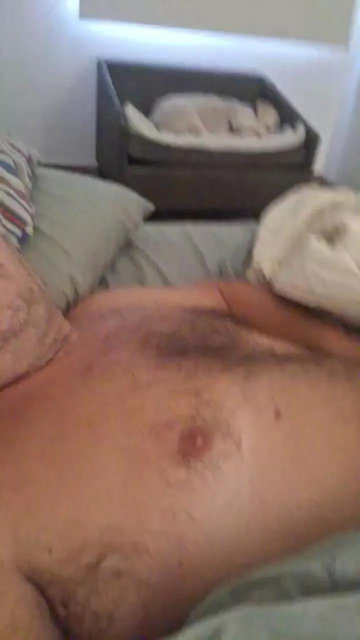IviGui from Cam4