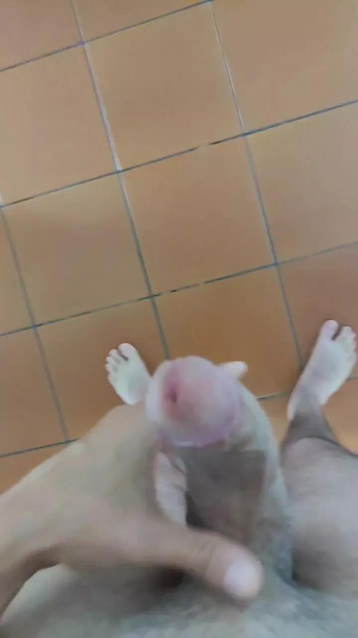 perroloco68 from Cam4