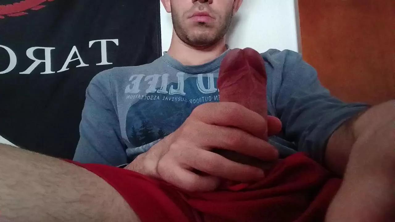 Pollon797 from Cam4