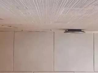 alinasii from CamSoda is Freechat