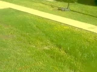 baghobecca from CamSoda is Freechat