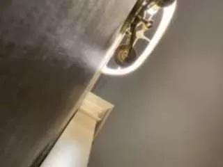 browncreamer from CamSoda is Freechat