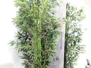 diamond-touch from CamSoda is Freechat