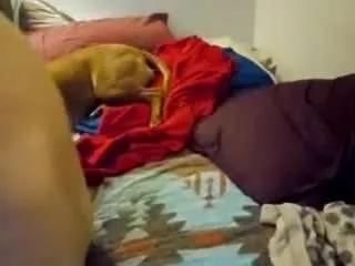 Hoggbody from CamSoda