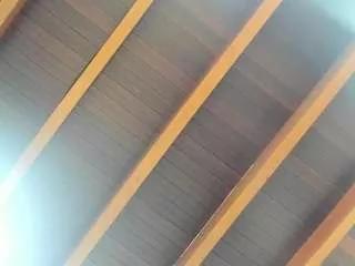 niicoleanders from CamSoda is Freechat