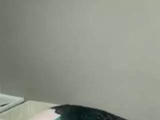 Discover girls online performers. Slutty sexy Free Models.