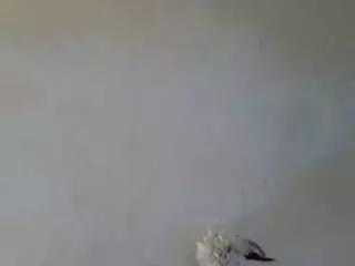 tiffanylee1 from CamSoda