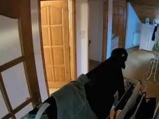voyeurcam-julmodels-hall-2nd from CamSoda is Freechat