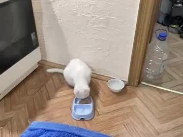 Rosea_champagne from Chaturbate