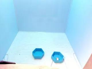 ivyy_bliss from Flirt4Free is Freechat