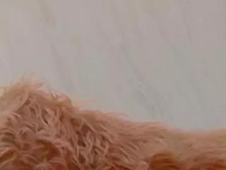 nazanin_hunter from Flirt4Free