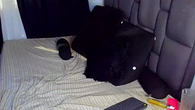 Charlottebadgirl from StripChat is Freechat