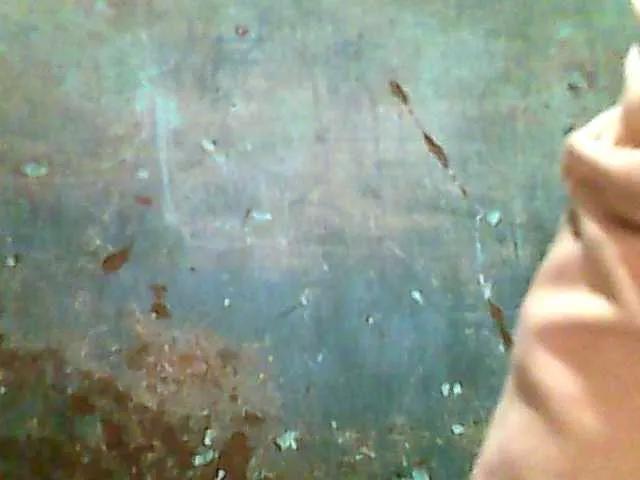 Offline Allycha1 on BongaCams