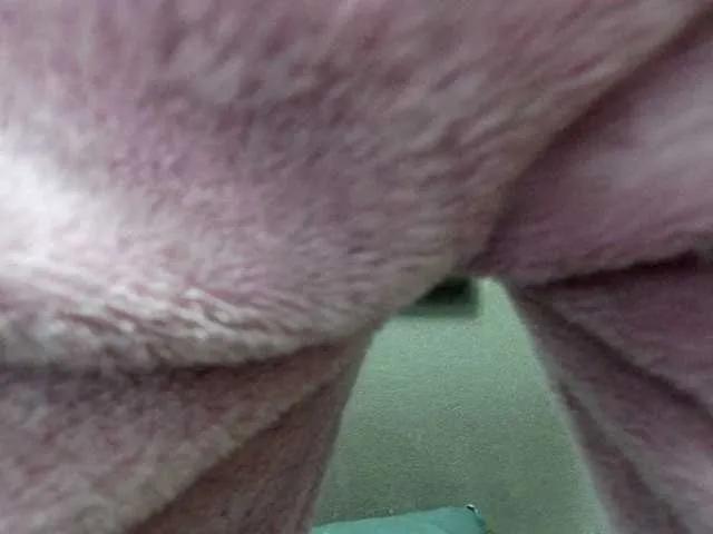 Offline Amelia25 on BongaCams