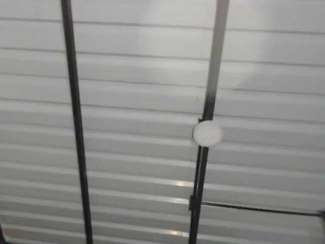 Freechat candylovet on BongaCams