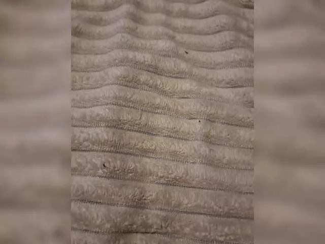 Freechat Cat-Bars69 on BongaCams