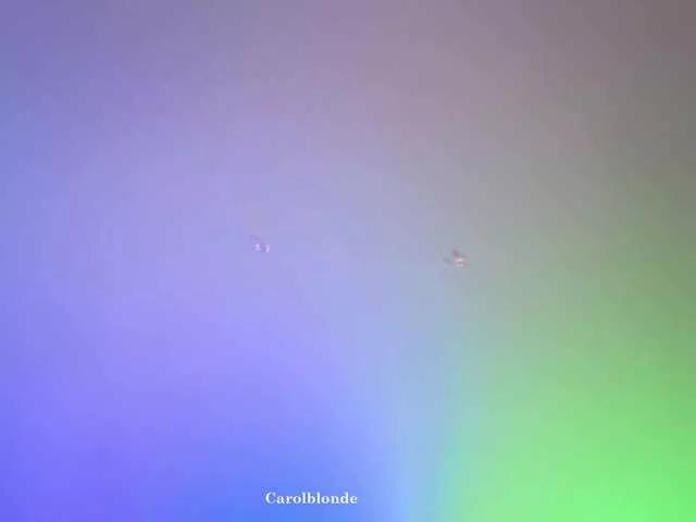 Freechat Charlotte-glasses on BongaCams