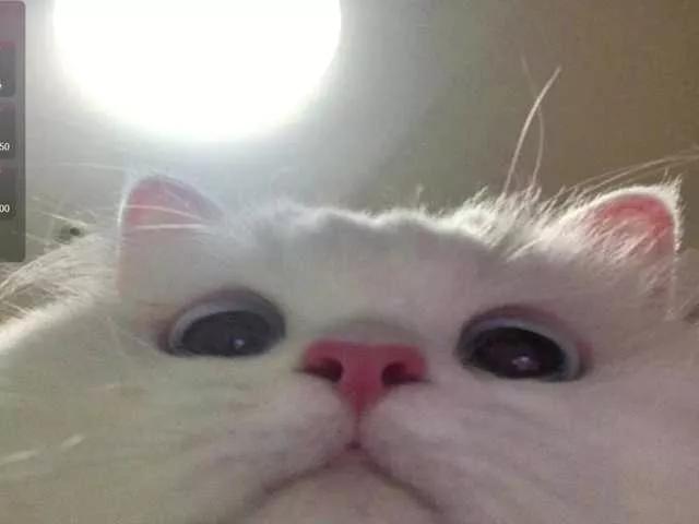 Freechat CrazyWine on BongaCams