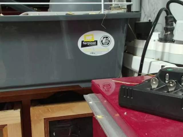 Offline enchaleur76-1 on BongaCams