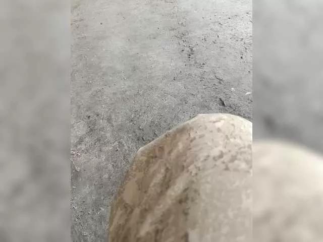 Freechat family2020 on BongaCams