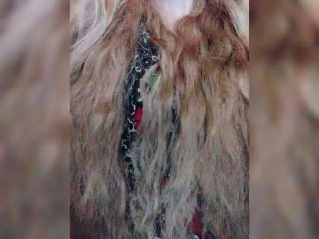 Offline Isabel-LM on BongaCams