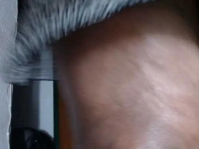 Offline janex69 on BongaCams