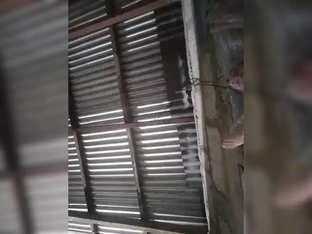 Offline JuicyKittie on BongaCams