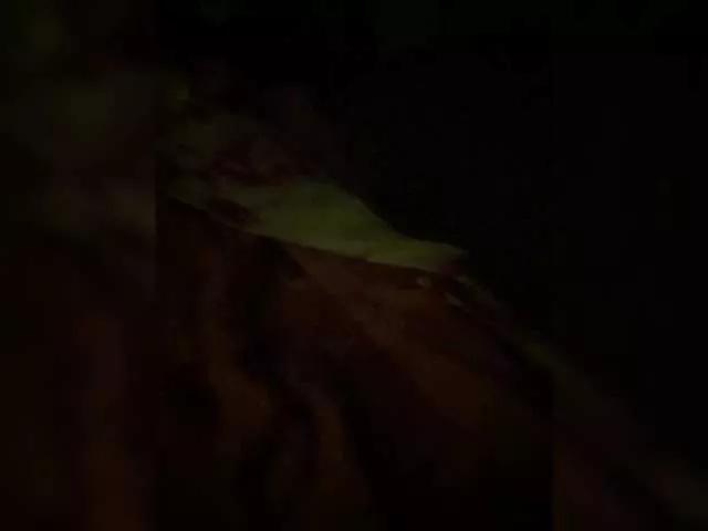 MokoMila on BongaCams