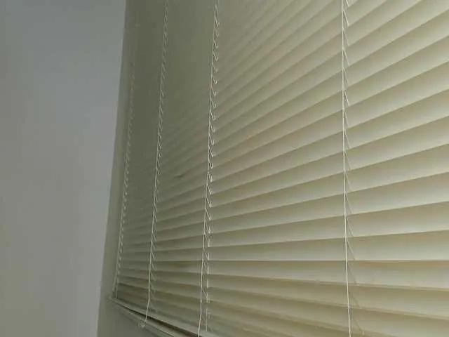 Offline molly-rosse on BongaCams