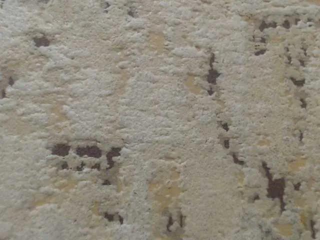 Offline moxxito on BongaCams