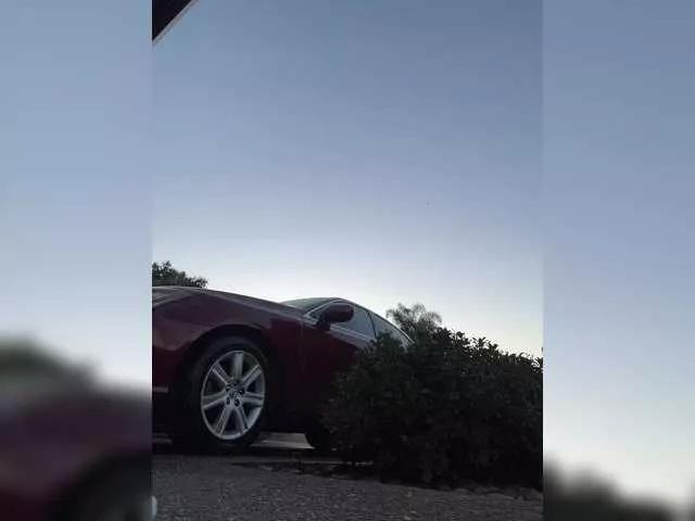 Offline Prurient-Gem on BongaCams