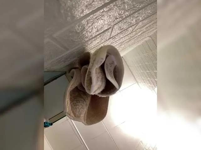 Offline SABENY on BongaCams