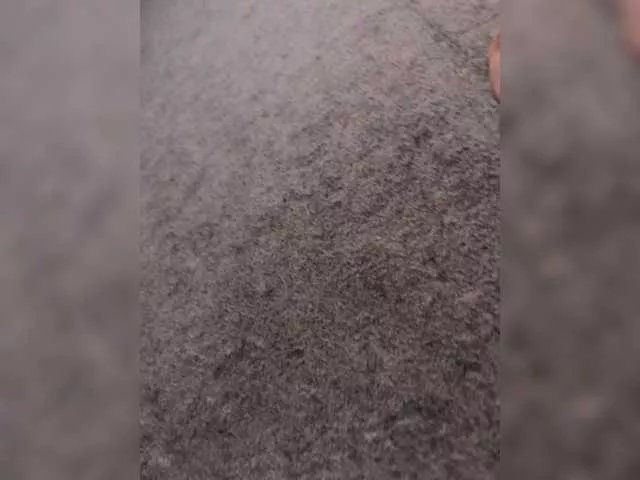 Offline Sexy6969 on BongaCams