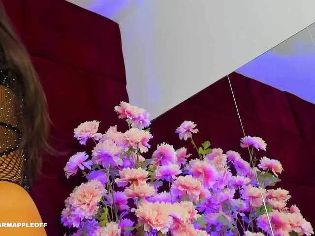 Offline SugarMaple on BongaCams