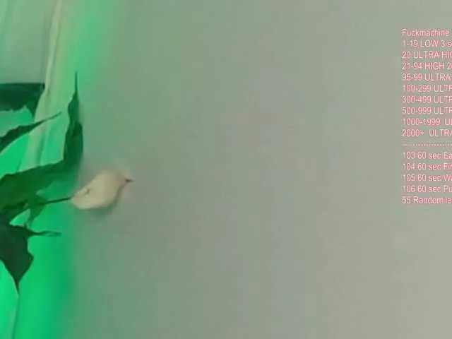 Offline Vik-Love on BongaCams