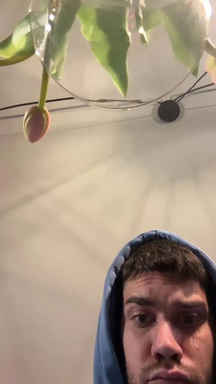 Offline pallido225 on Cam4