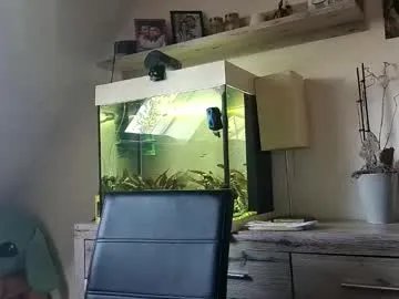 Freechat denise_brad on Chaturbate