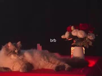 Private hannasthesia on Chaturbate