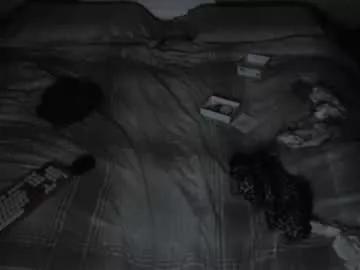 Freechat hollygirl88 on Chaturbate