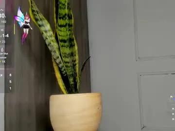 Freechat ice_princess__ on Chaturbate