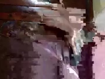 Freechat mistressmandi36 on Chaturbate