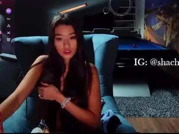 Freechat shachatte on Chaturbate