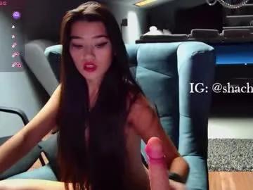 Freechat shachatte on Chaturbate