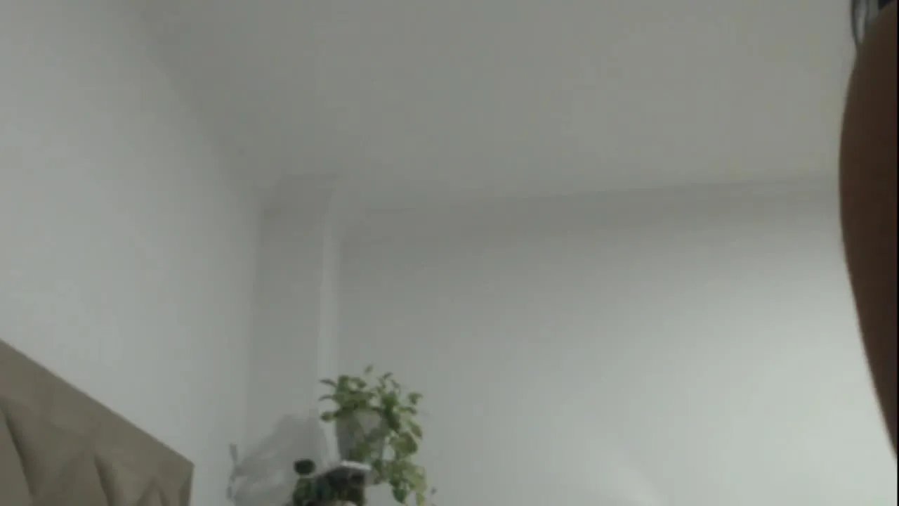 Offline Seiya1 on Streamray