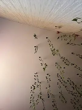 Freechat -Sexy_Barbie- on StripChat