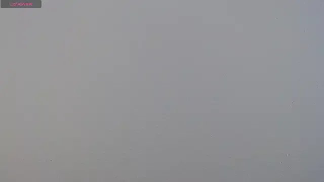 Freechat Camila_Torresss on StripChat