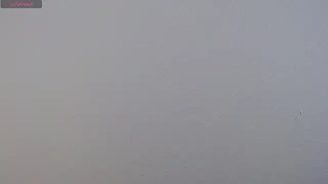 Freechat Camila_Torresss on StripChat